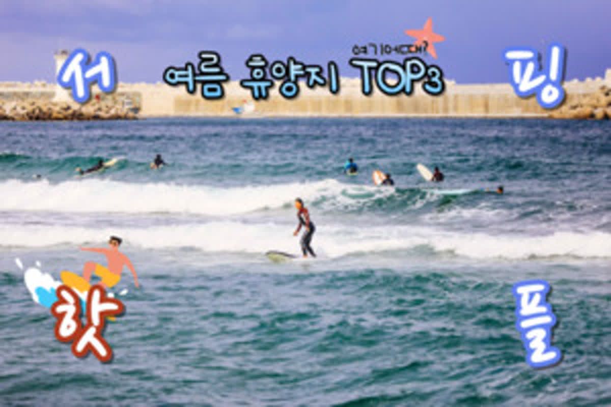 서핑 보드 타기 좋은 여름 휴양지 BEST 3 추천 “서핑 성지로 여름 여행 떠나기” - 네이트뷰